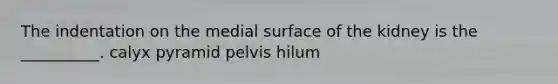 The indentation on the medial surface of the kidney is the __________. calyx pyramid pelvis hilum