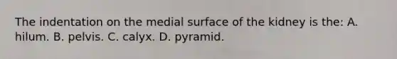 The indentation on the medial surface of the kidney is the: A. hilum. B. pelvis. C. calyx. D. pyramid.