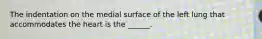 The indentation on the medial surface of the left lung that accommodates the heart is the ______.