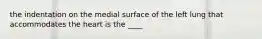 the indentation on the medial surface of the left lung that accommodates the heart is the ____