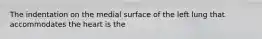 The indentation on the medial surface of the left lung that accommodates the heart is the