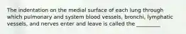 The indentation on the medial surface of each lung through which pulmonary and system blood vessels, bronchi, lymphatic vessels, and nerves enter and leave is called the _________