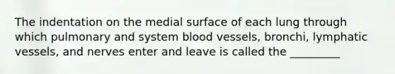 The indentation on the medial surface of each lung through which pulmonary and system <a href='https://www.questionai.com/knowledge/kZJ3mNKN7P-blood-vessels' class='anchor-knowledge'>blood vessels</a>, bronchi, <a href='https://www.questionai.com/knowledge/ki6sUebkzn-lymphatic-vessels' class='anchor-knowledge'>lymphatic vessels</a>, and nerves enter and leave is called the _________