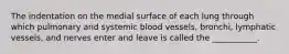 The indentation on the medial surface of each lung through which pulmonary and systemic blood vessels, bronchi, lymphatic vessels, and nerves enter and leave is called the ___________.