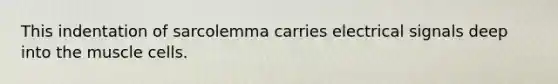 This indentation of sarcolemma carries electrical signals deep into the muscle cells.