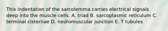 This indentation of the sarcolemma carries electrical signals deep into the muscle cells. A. triad B. sarcoplasmic reticulum C. terminal cisternae D. neuromuscular junction E. T tubules