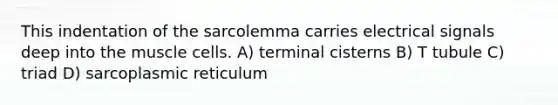 This indentation of the sarcolemma carries electrical signals deep into the muscle cells. A) terminal cisterns B) T tubule C) triad D) sarcoplasmic reticulum