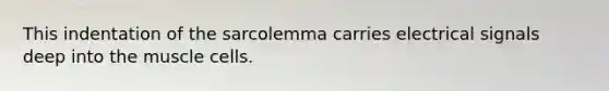 This indentation of the sarcolemma carries electrical signals deep into the muscle cells.