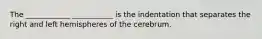 The ____________ ___________ is the indentation that separates the right and left hemispheres of the cerebrum.