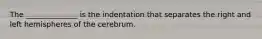 The ______________ is the indentation that separates the right and left hemispheres of the cerebrum.