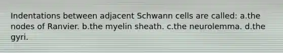 Indentations between adjacent Schwann cells are called: a.the nodes of Ranvier. b.the myelin sheath. c.the neurolemma. d.the gyri.