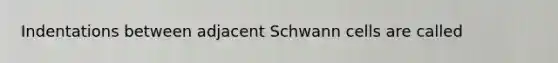 Indentations between adjacent Schwann cells are called