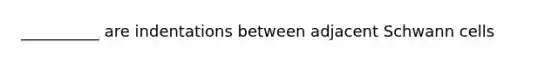 __________ are indentations between adjacent Schwann cells