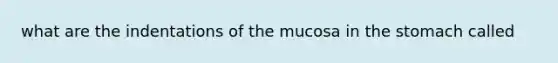 what are the indentations of the mucosa in <a href='https://www.questionai.com/knowledge/kLccSGjkt8-the-stomach' class='anchor-knowledge'>the stomach</a> called