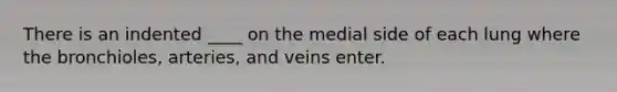 There is an indented ____ on the medial side of each lung where the bronchioles, arteries, and veins enter.