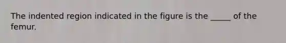 The indented region indicated in the figure is the _____ of the femur.