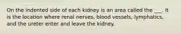 On the indented side of each kidney is an area called the ___. It is the location where renal nerves, blood vessels, lymphatics, and the ureter enter and leave the kidney.