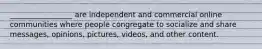 _________________ are independent and commercial online communities where people congregate to socialize and share messages, opinions, pictures, videos, and other content.