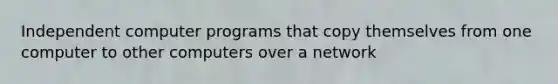 Independent computer programs that copy themselves from one computer to other computers over a network