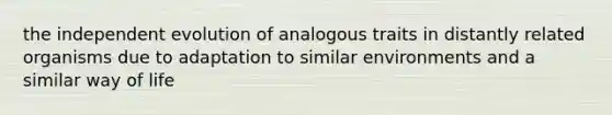 the independent evolution of analogous traits in distantly related organisms due to adaptation to similar environments and a similar way of life