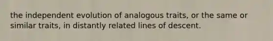 the independent evolution of analogous traits, or the same or similar traits, in distantly related lines of descent.