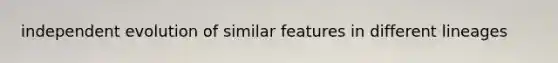 independent evolution of similar features in different lineages