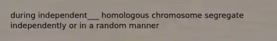 during independent___ homologous chromosome segregate independently or in a random manner