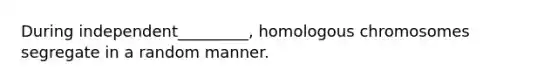 During independent_________, homologous chromosomes segregate in a random manner.