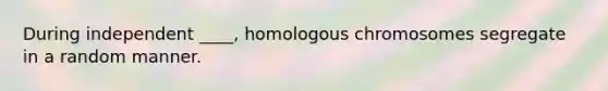 During independent ____, homologous chromosomes segregate in a random manner.