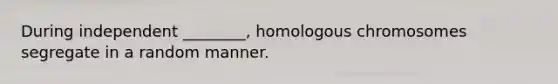 During independent ________, homologous chromosomes segregate in a random manner.