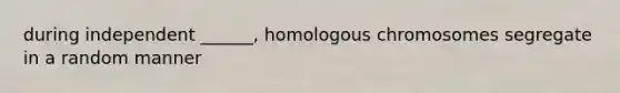 during independent ______, homologous chromosomes segregate in a random manner