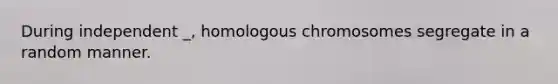 During independent _, homologous chromosomes segregate in a random manner.