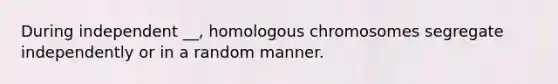 During independent __, homologous chromosomes segregate independently or in a random manner.