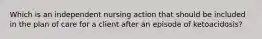 Which is an independent nursing action that should be included in the plan of care for a client after an episode of ketoacidosis?