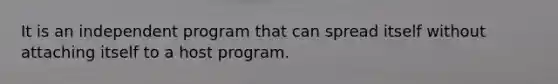 It is an independent program that can spread itself without attaching itself to a host program.