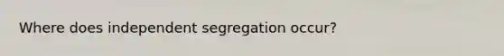 Where does independent segregation occur?