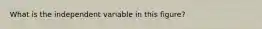 What is the independent variable in this figure?
