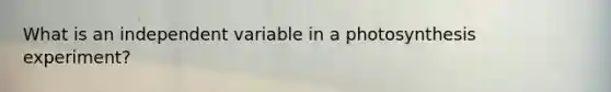 What is an independent variable in a photosynthesis experiment?