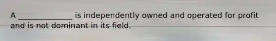 A ______________ is independently owned and operated for profit and is not dominant in its field.