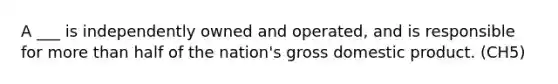 A ___ is independently owned and operated, and is responsible for more than half of the nation's gross domestic product. (CH5)
