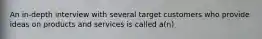An in-depth interview with several target customers who provide ideas on products and services is called a(n)