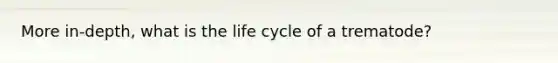 More in-depth, what is the life cycle of a trematode?