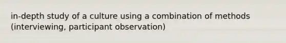 in-depth study of a culture using a combination of methods (interviewing, participant observation)