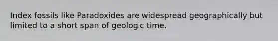 Index fossils like Paradoxides are widespread geographically but limited to a short span of geologic time.