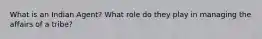 What is an Indian Agent? What role do they play in managing the affairs of a tribe?