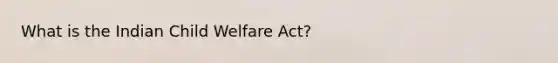 What is the Indian Child Welfare Act?