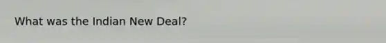 What was the Indian New Deal?