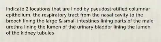 Indicate 2 locations that are lined by pseudostratified columnar epithelium. the respiratory tract from the nasal cavity to the brooch lining the large & small intestines lining parts of the male urethra lining the lumen of the urinary bladder lining the lumen of the kidney tubules