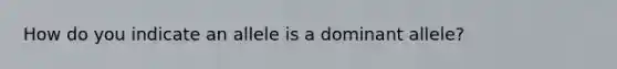 How do you indicate an allele is a dominant allele?