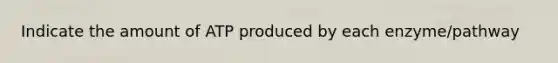 Indicate the amount of ATP produced by each enzyme/pathway